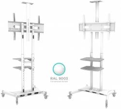 Подставка для телевизора Onkron TS1552 белый 40-70 макс.60.5кг напольный мобильный