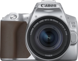 Зеркальный Фотоаппарат Canon EOS 250D серебристый 24.1Mpix EF-S 18-55mm f/1:4-5.6 IS STM 3 4K Full HD SDXC Li-ion